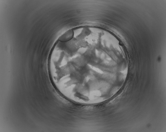 X0000094221283200711241713