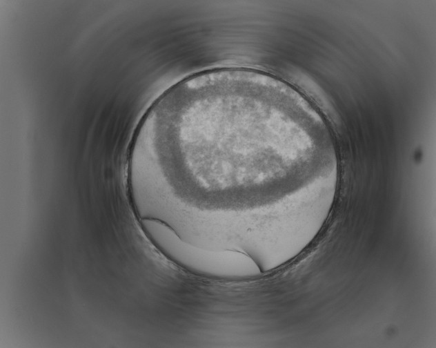 X0000094221284200711241713