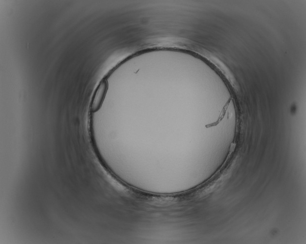 X0000094221285200711241713