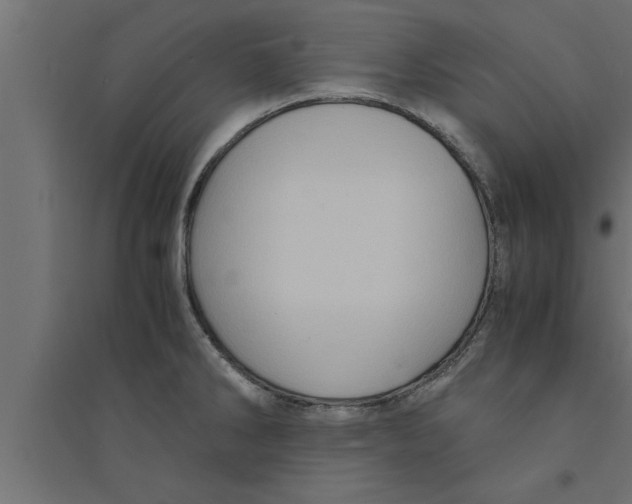 X0000094221286200711241713