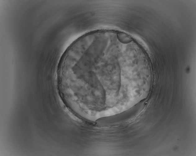 X0000094221287200711241713