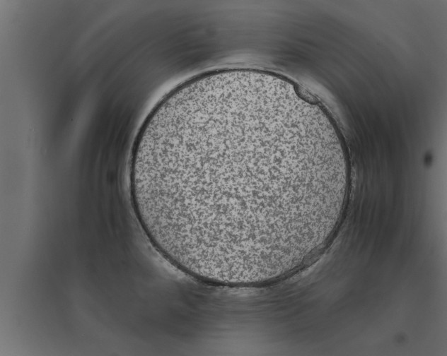 X0000094221288200711241713