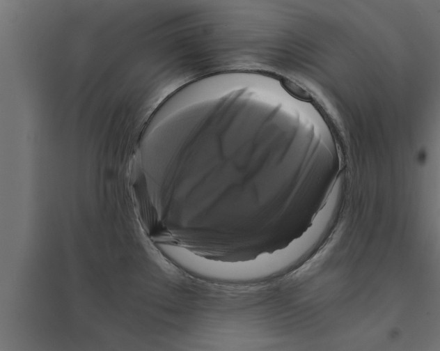 X0000094221289200711241713