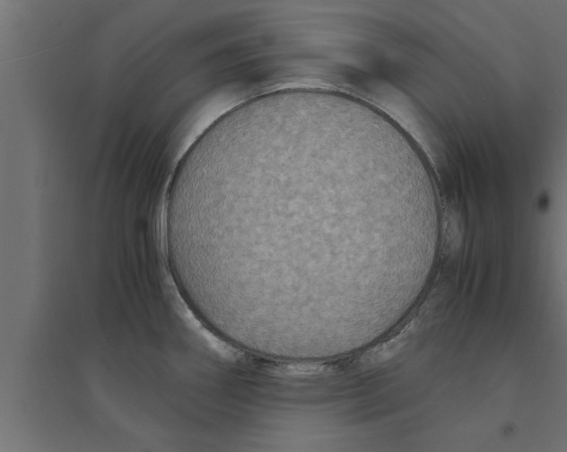 X0000094221290200711241713