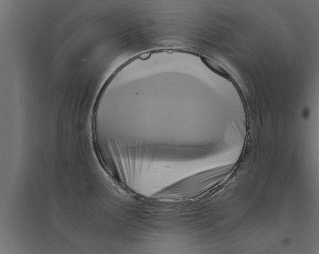 X0000094221291200711241713