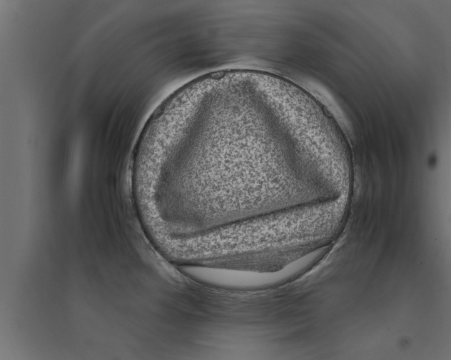 X0000094221292200711241713