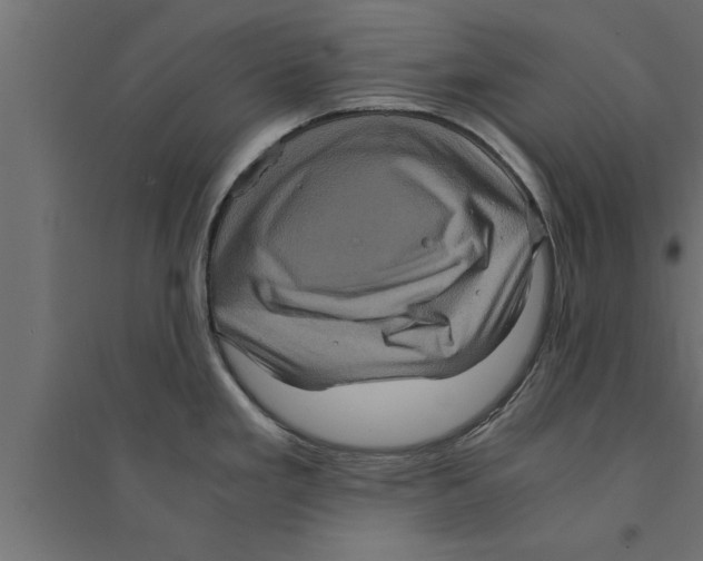 X0000094221293200711241713