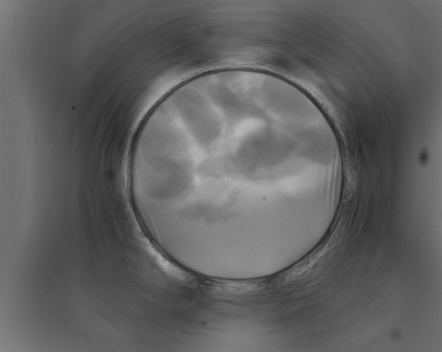 X0000094221294200711241713