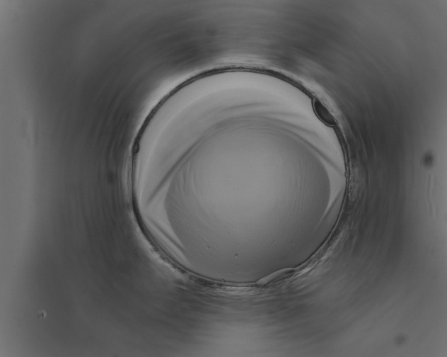 X0000094221295200711241713