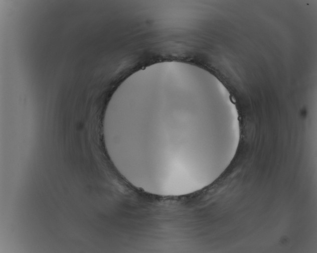 X0000094221297200711241713