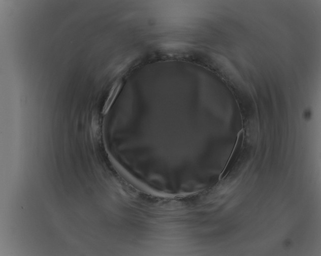 X0000094221298200711241713