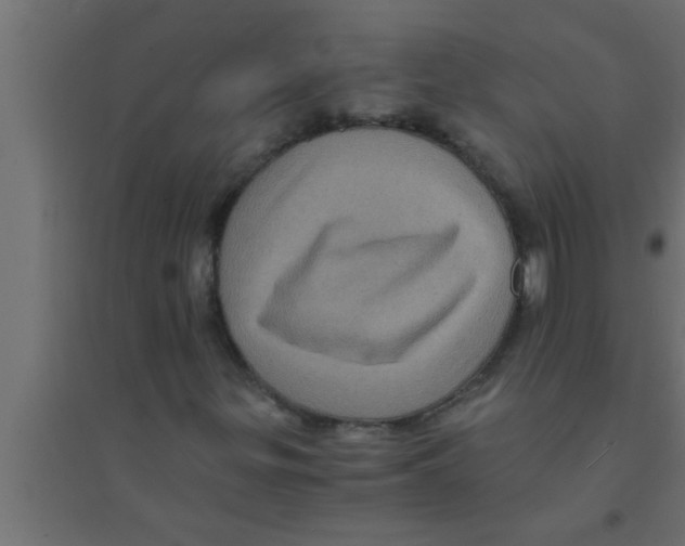 X0000094221299200711241713