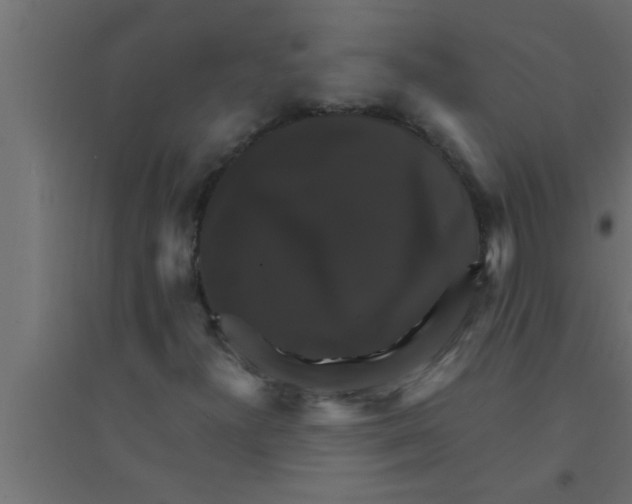 X0000094221300200711241713