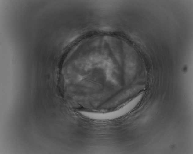 X0000094221301200711241713