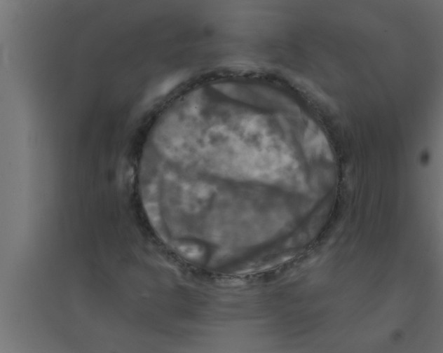 X0000094221302200711241713