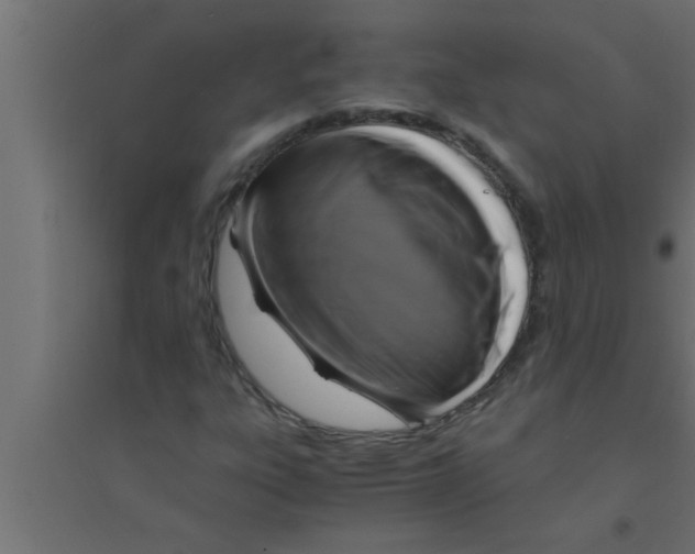 X0000094221303200711241713