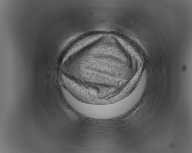 X0000094221304200711241713