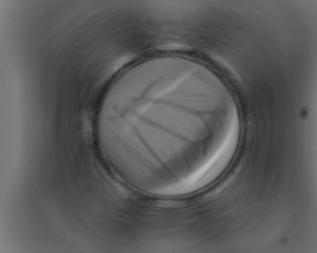 X0000094221305200711241713