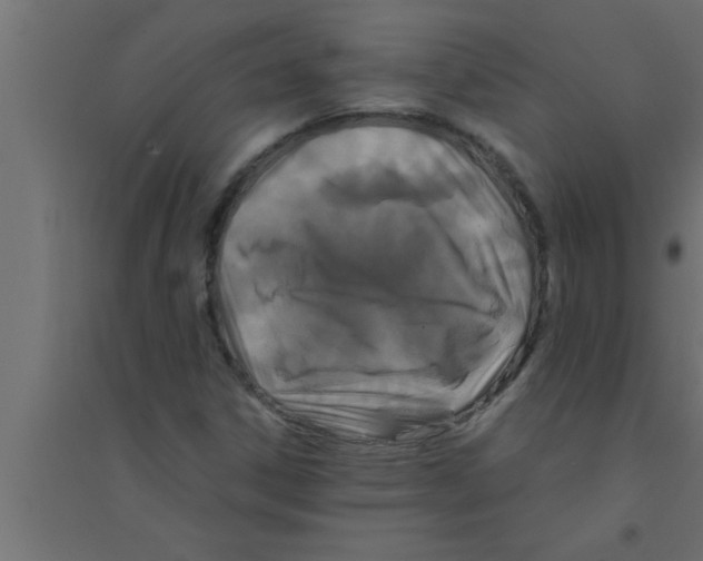 X0000094221306200711241713