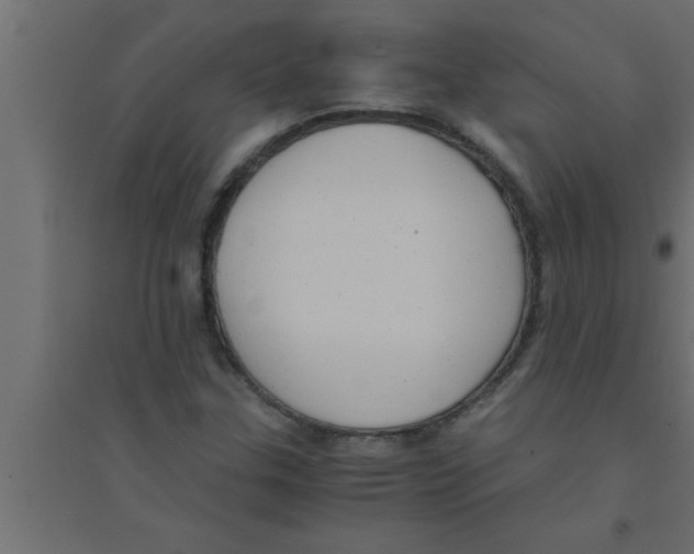 X0000094221307200711241713