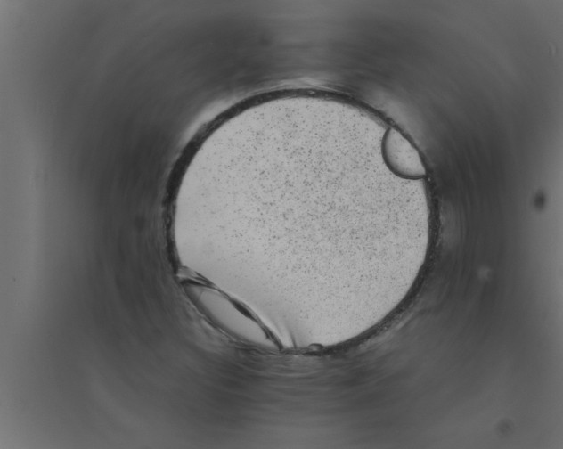 X0000094221308200711241713