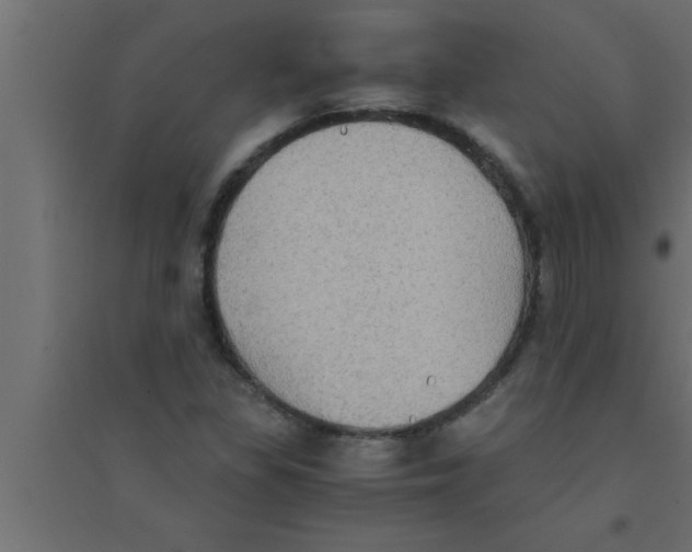 X0000094221309200711241713