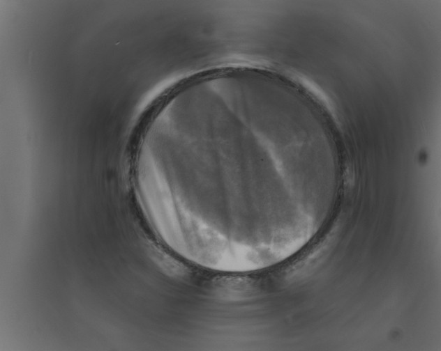 X0000094221310200711241713