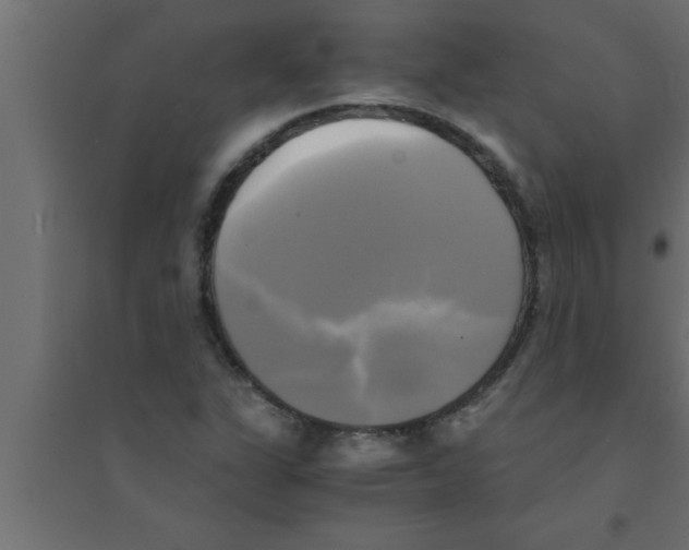 X0000094221311200711241713