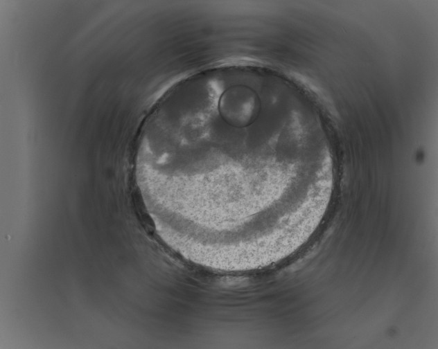 X0000094221313200711241713