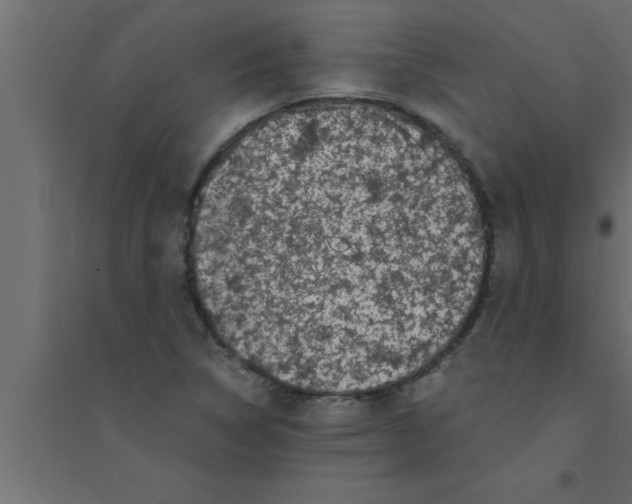 X0000094221314200711241713