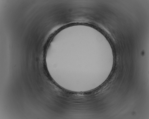 X0000094221315200711241713