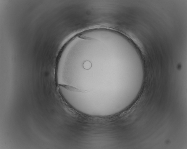 X0000094221316200711241713