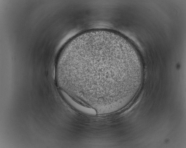 X0000094221317200711241713