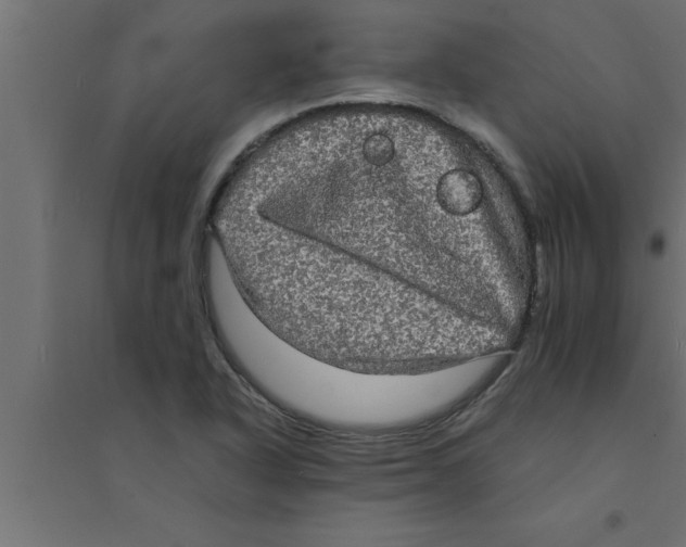 X0000094221318200711241713