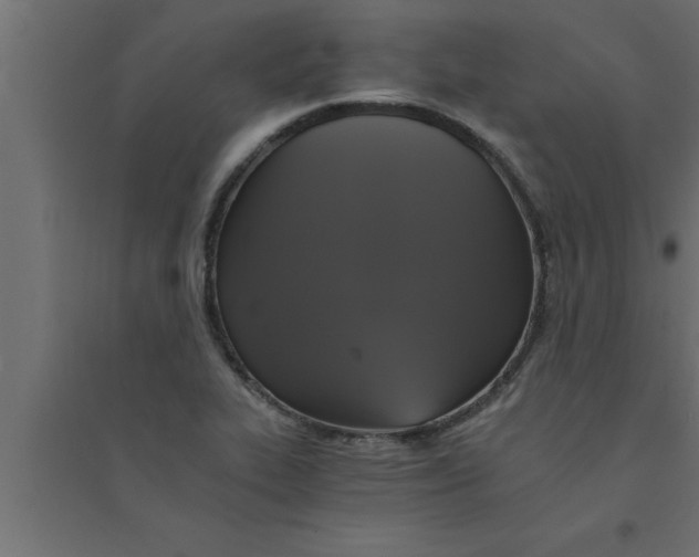 X0000094221319200711241713