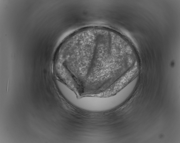 X0000094221320200711241713