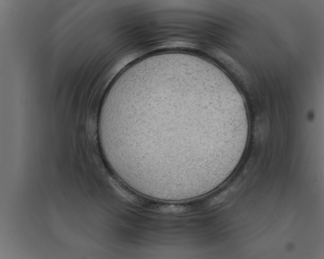 X0000094221321200711241713