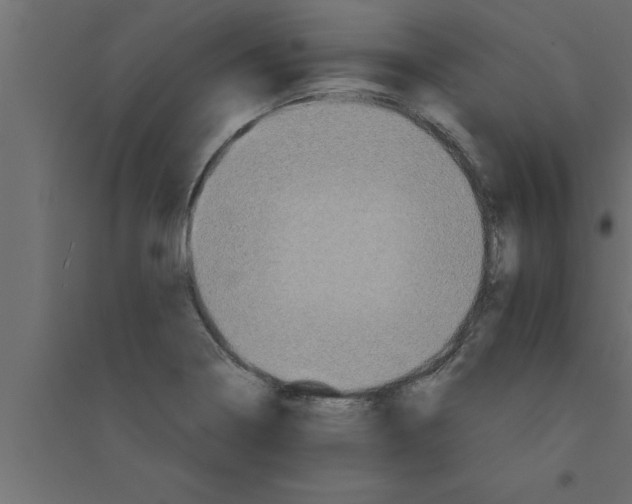 X0000094221322200711241713