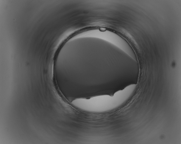 X0000094221323200711241713