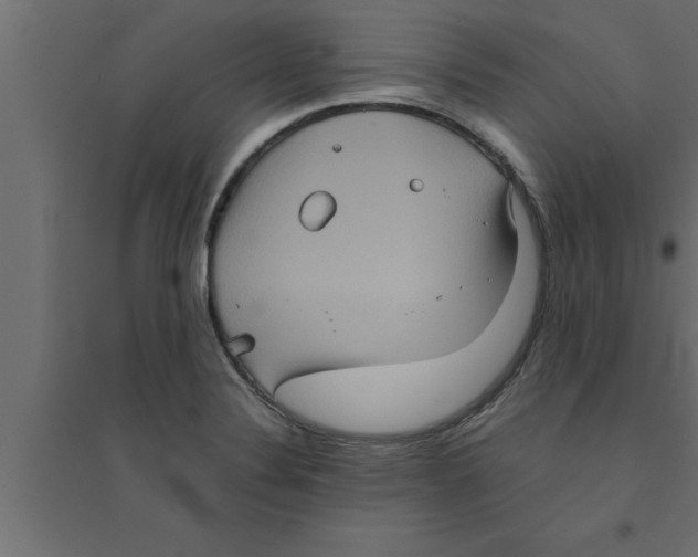 X0000094221324200711241713