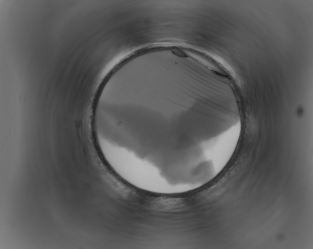 X0000094221325200711241713