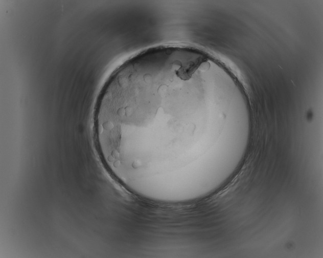 X0000094221327200711241713