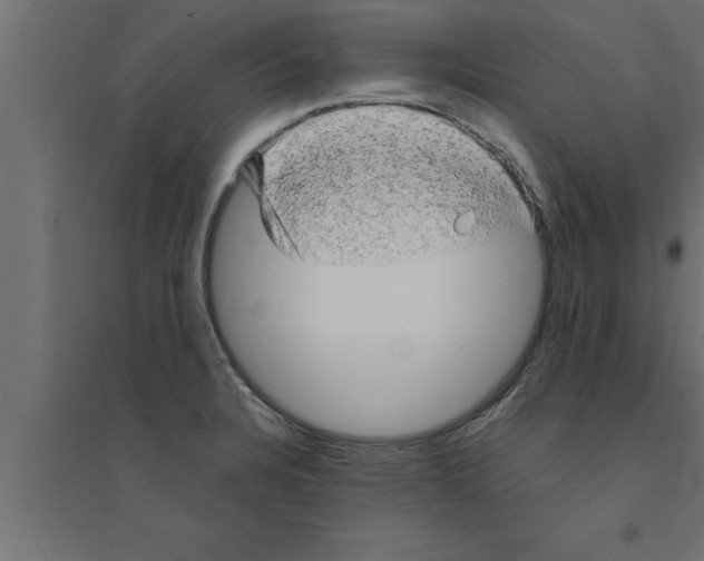 X0000094221328200711241713