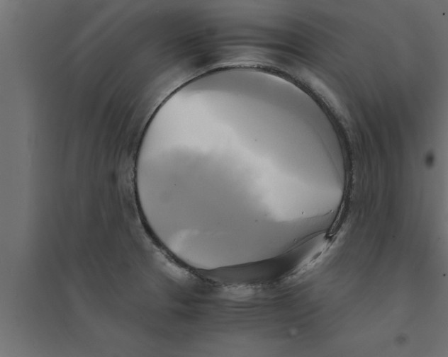 X0000094221329200711241713