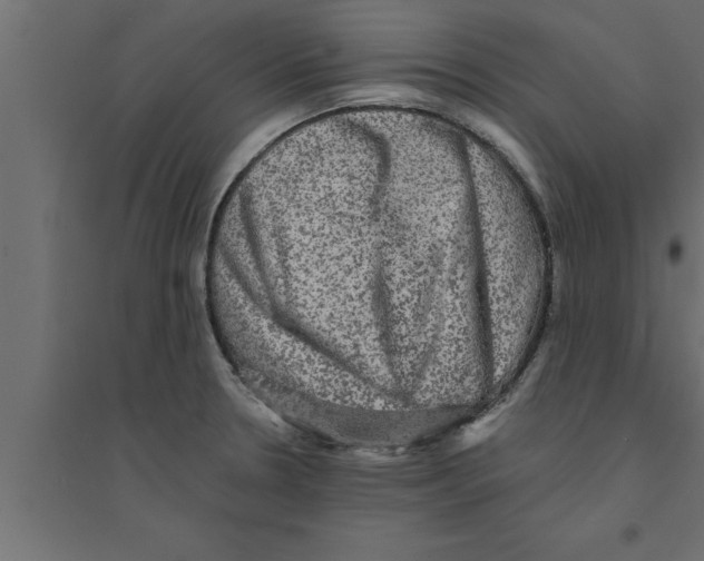 X0000094221330200711241713