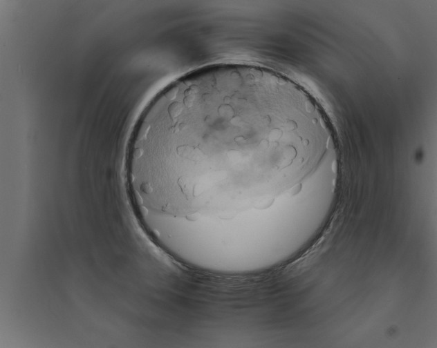 X0000094221331200711241713