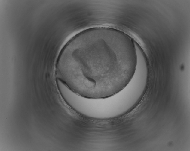 X0000094221332200711241713