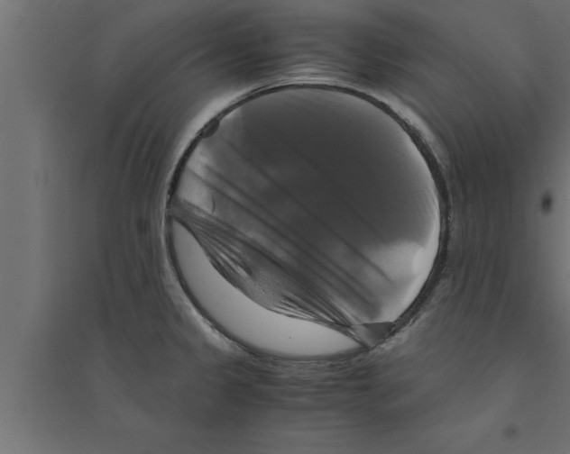 X0000094221333200711241713