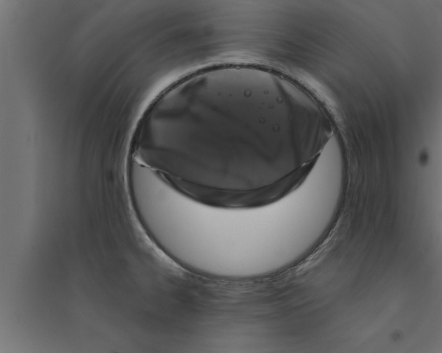 X0000094221334200711241713