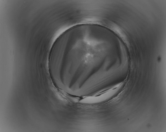 X0000094221336200711241713